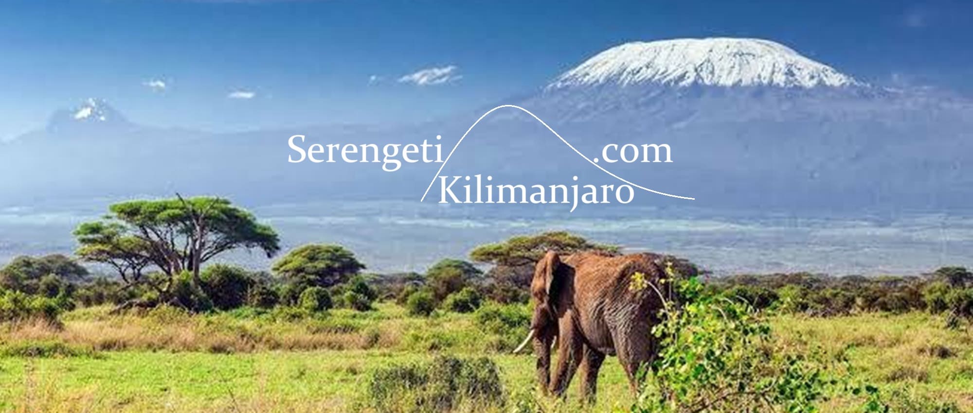 serengetikilimanjaro front