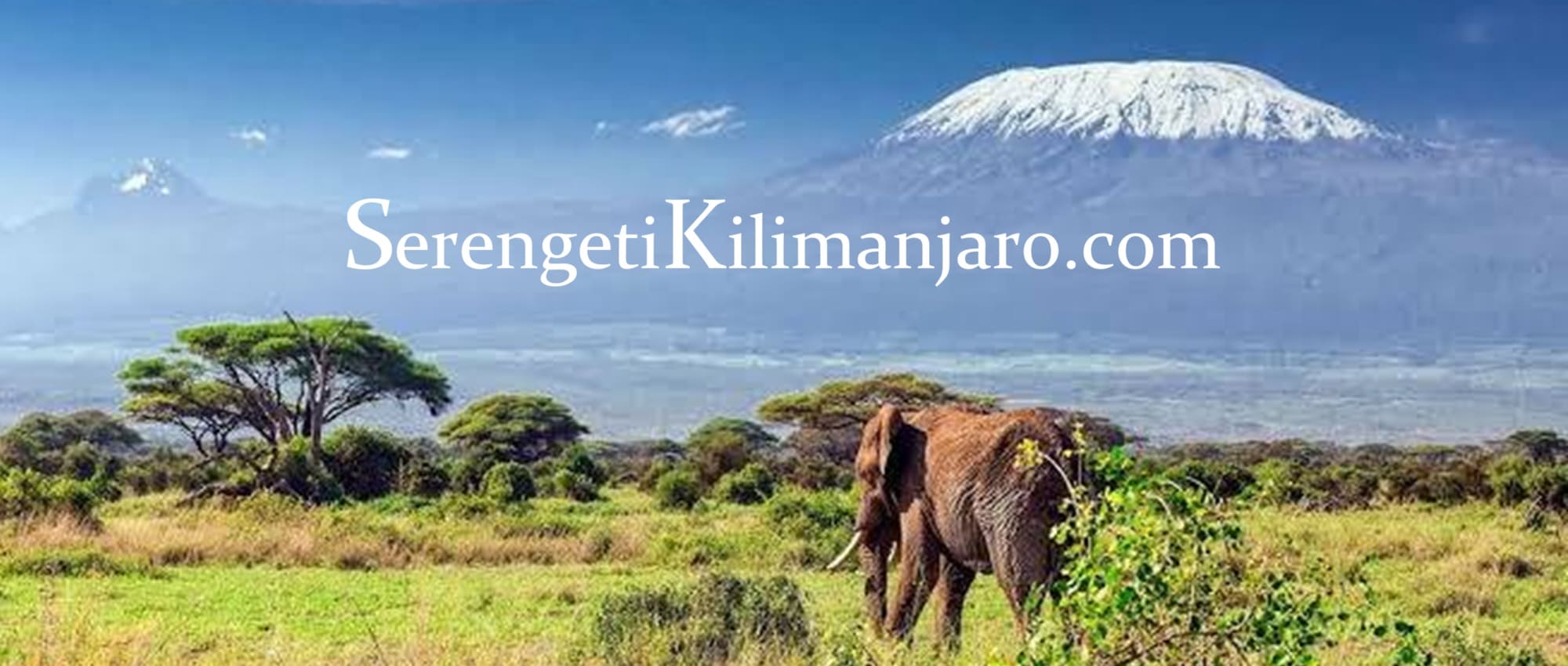 SerengetiKilimanjaro