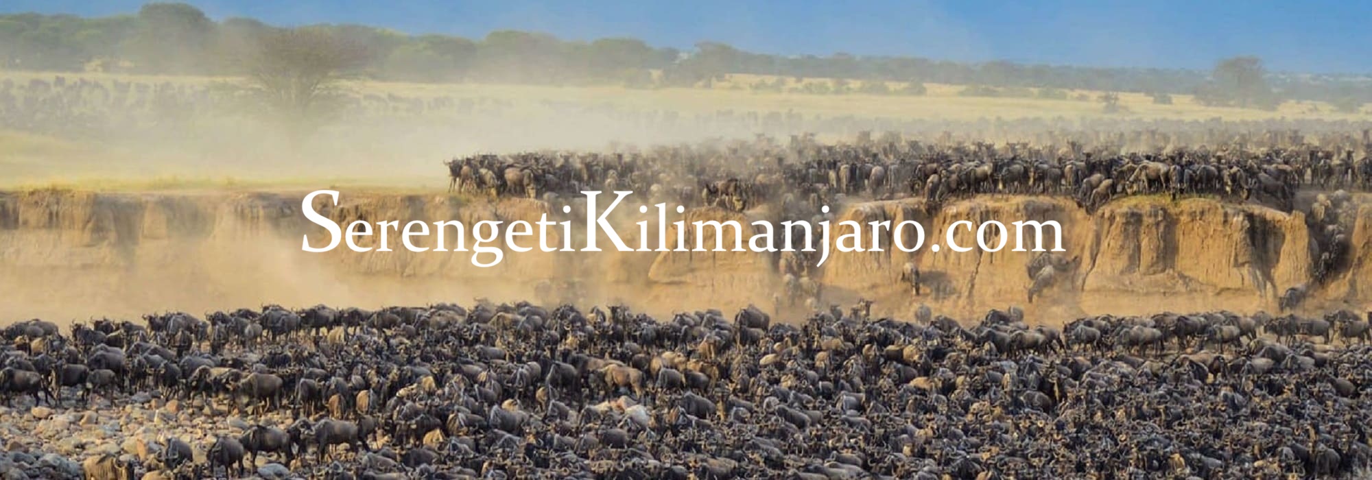 Serengeti front