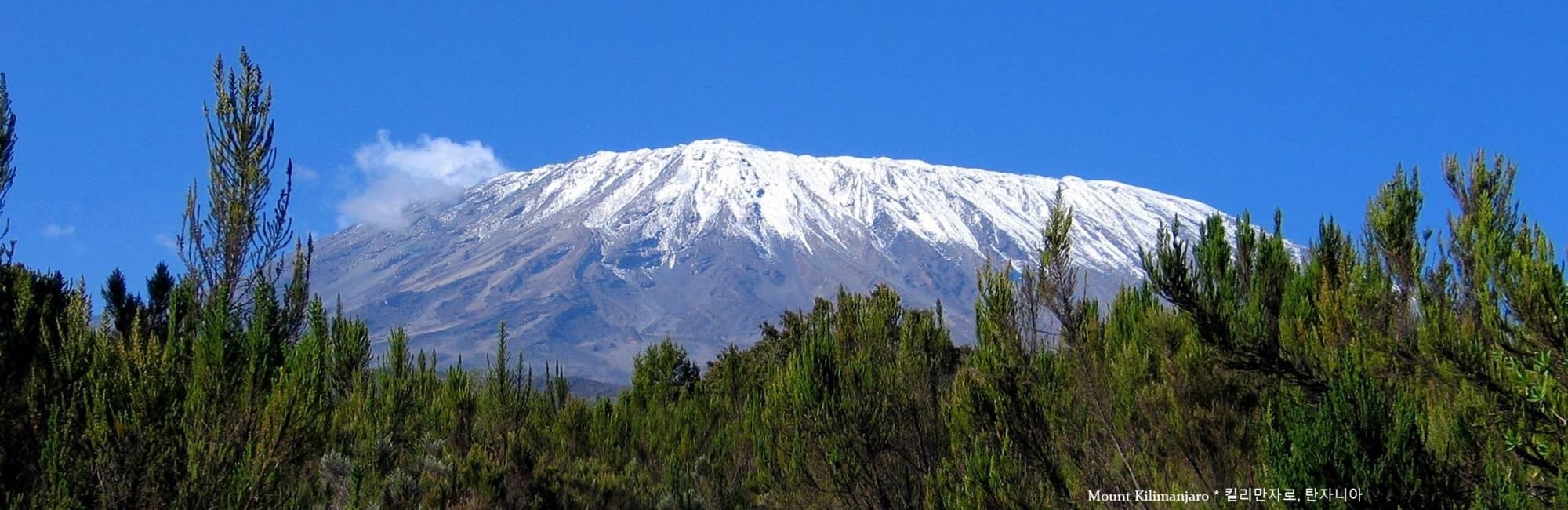 Kilimanjaro